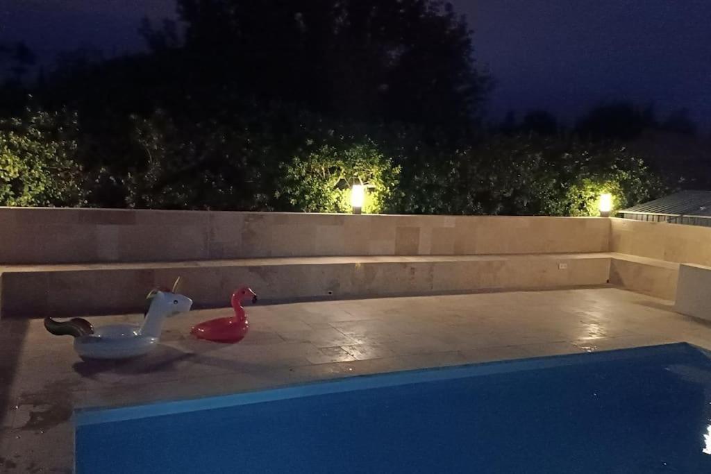 Charmant Studio Avec Piscine Villemoustaussou Экстерьер фото